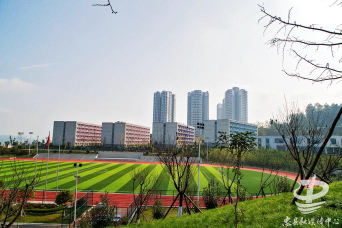 产教融合赋能数字重庆——重庆数字产业职业技术学院揭牌成立纪实